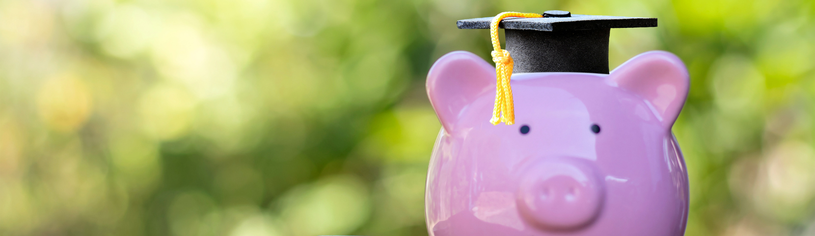 Piggy bank wearing a graduation cap