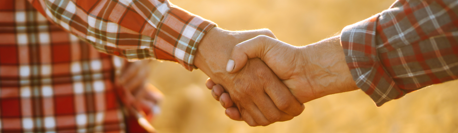 handshake in wheat field